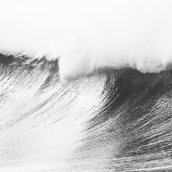 AdobeStock_176411425_Preview